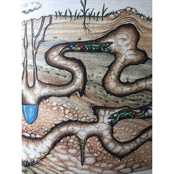 Luigi Serafini Codex Seraphinianus Print 80 - Picture 2 of 8